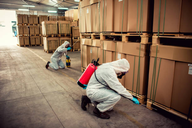 Best Bed Bug Extermination  in Crestview Hills, KY