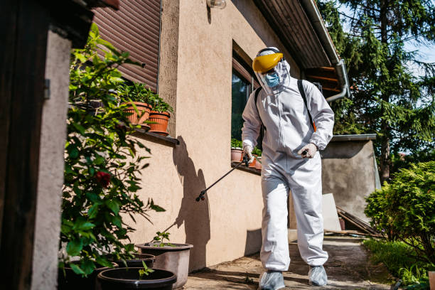 Professional Pest Control in Crestview Hills, KY