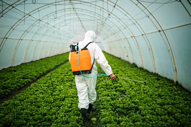 Best Pest Inspection Near Me  in Crestview Hills, KY