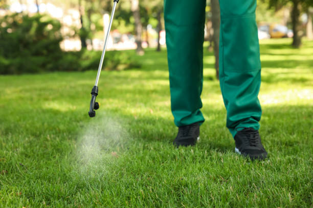 Best Flea Control Services  in Crestview Hills, KY