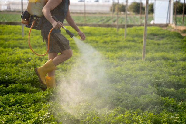 Best Best Pest Control Companies  in Crestview Hills, KY