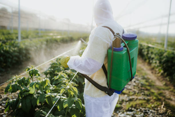 Wasp Removal Services in Crestview Hills, KY